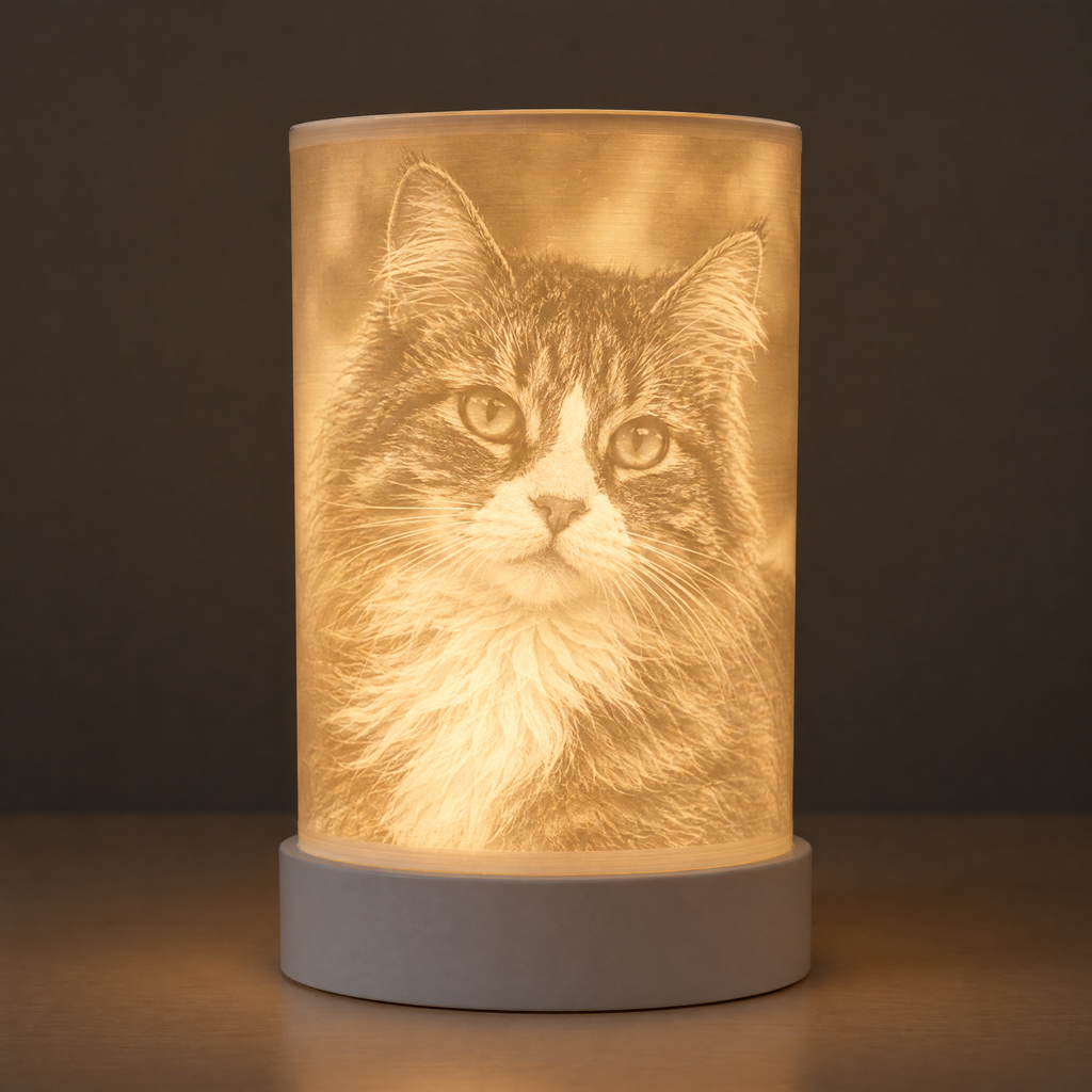 Lampada litofania accesa con il ritratto di un gatto