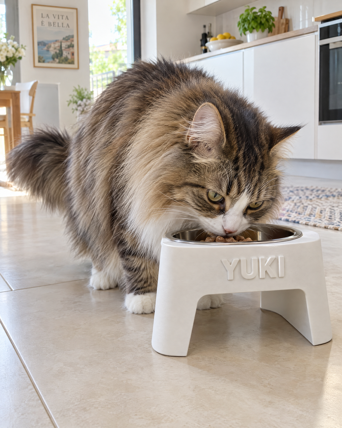 Gatto che mangia dalla ciotola sul supporto rialzato con il nome Yuki